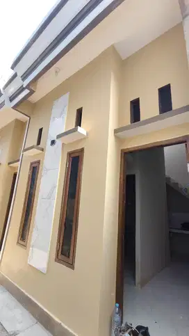 Pacar kembang rumah murah
