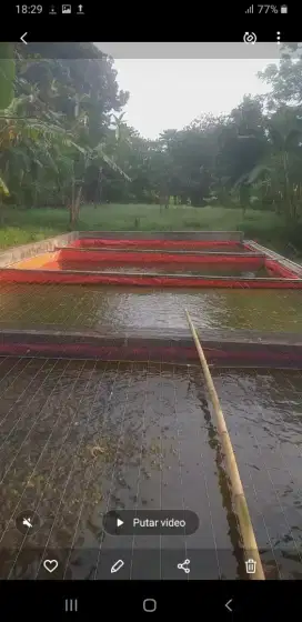 Dijual Tanah berikut Budidaya Ikan Lele