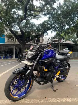 yamaha MT 25 full paper