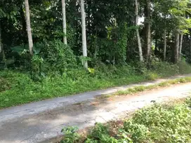 Tanah Peruntukan Kos dekat UI-SHM