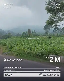 Tanah Seluas 2605m2 Dijual Wilayah Wonosobo Dekat Area Wisata