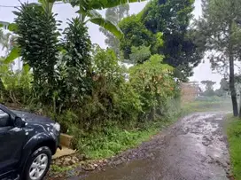 jarng ada Dijual Tanah barunagri Lembang Dkt Parongpong Cisarua Cimahi