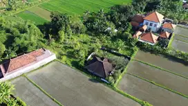 Dijual Tanah Bonus Bangunan Dengan Pemandangan Sawah Singaraja