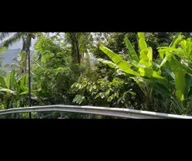 DIJUAL TANAH NEGARA MURAH