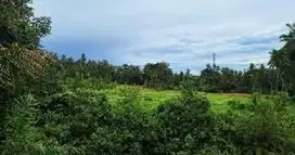 di jual tanah cantik dan strategis  di dekat ubud kota  link vila
