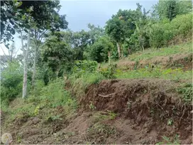 Tanah Murah Cocok untuk Villa atau Rumah Tinggal di Sadu Soreang