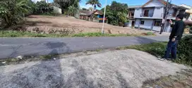 Jl Kaliurang km 10, 500 meter Pasar Gentan, Suasana Asri