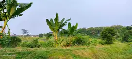 Pasuruan. Pandaan. Desa Tawangrejo. Murah