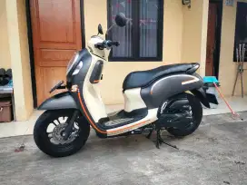 Honda Scoopy 2023 Gress kaya baru