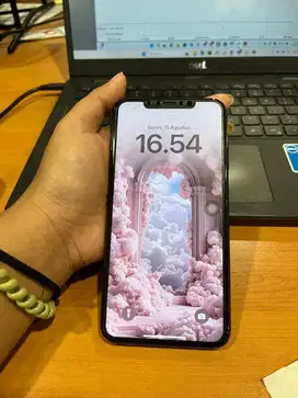 IPHONE XS MAX - 256GB INTER