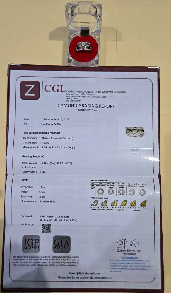 Cincin Berlian Ring Perak Microsetting Custom Elegant