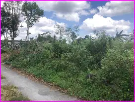 950 Mtr Kampus UII, Tanah Strategis di Jl. Pandanaran Sleman