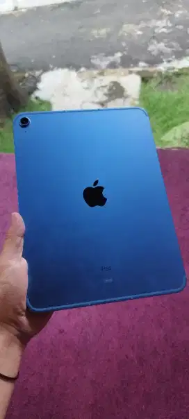 Ipad Gen 10 256Gb Wifi+Cellular Ex Ibox Unit