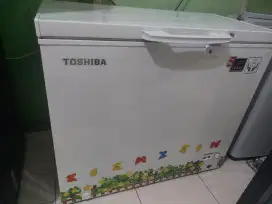 Prezer Toshiba 220 L