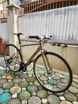 ROADBIKE DOMINATE FLAT BAR