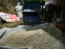 Jual pakan domba fermentasi