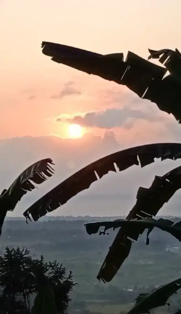 TANAH VIEW SUNRISE GUNUNG DAN SAWAH DI TENGANAN BALI