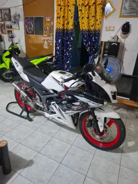 Ninja rr new 2015