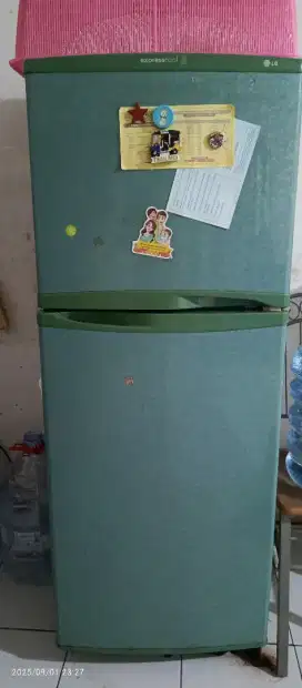Kulkas 2 pintu LG Express Cool