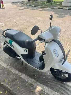 Fazzio Beige 2022