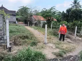Jual Tanah Lokasi Strategis - Desa Sangsit Singaraja (LT 2 are) BUC