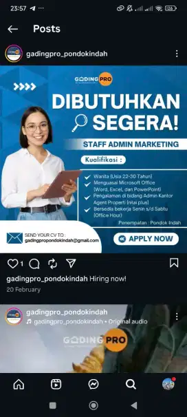Staff admin Marketing Property Broker