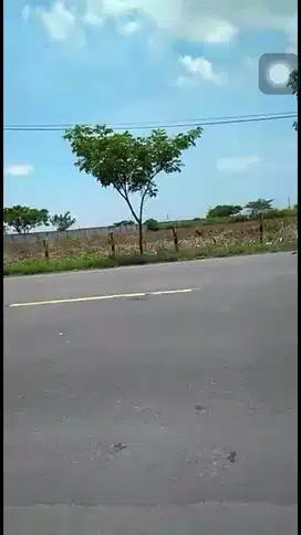 TANAH INDUSTRI TUBAN STRATEGIS, SHM