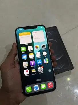 iPhone 12 Pro Max 128GB Silver IMEI terdaftar beacukai