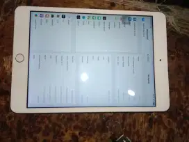 Ipad mini 3 wifi plus cell
