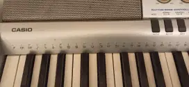 Organ casio WK 210
