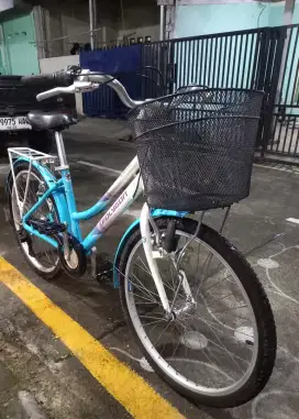 City Bike Polgon Sera 24 Alloy Speed 1 X 7 Shimano