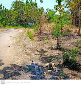 Dijual Tanah SHM Desa Gading Watu , Menganti Gresik