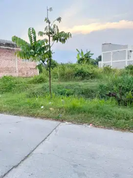 Tanah 724 murah solo utara