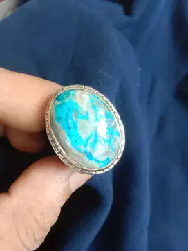 PIRUS PERSIA boleh NeGo