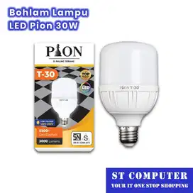 Bohlam Lampu LED Pion 30W