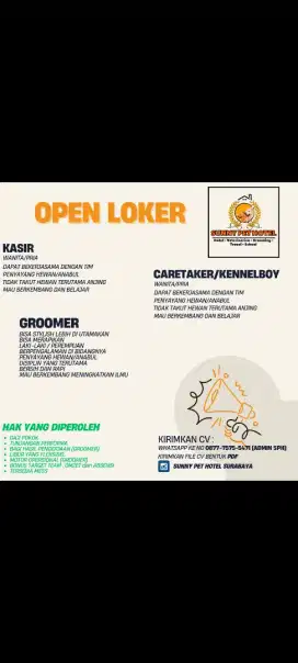Dicari groomer dan kennel berpengalaman