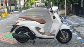 STYLO 160 ABS MULUS