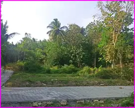 Jl. Nagung-Brosot Kulon Progo, Tanah Dekat Polsek Panjatan Untuk Rumah