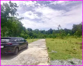 Panjatan, Tanah Jogja  Dekat Bandara YIA Untuk Hunian