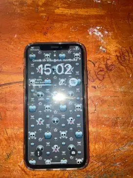Iphone x 256 gb