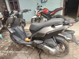 Zenzero 150 cc surat lngkp pajag of