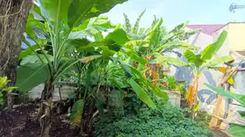 Dijual Tanah Kosong / Kebon Tiparsari dalam pemukiman