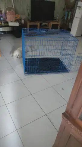 KANDANG LIPAT KUCING, ANJING KELINCI PREMIUM, UKURAN 90x60x65.