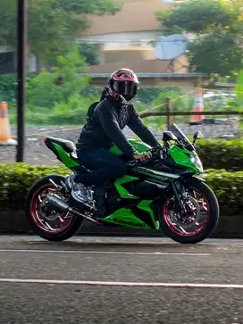 Ninja 250 sl mono