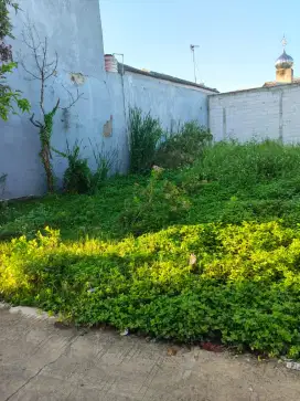 Tanah murah 2juta / meter nego lokasi kp.asem Babelan Bekasi Utara