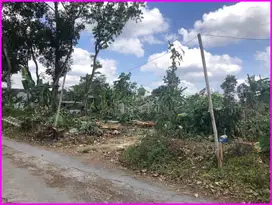 900 Meter SD-SMP Islam Al-Azhar Cairo, Tanah di Pandanaran Untuk Kost