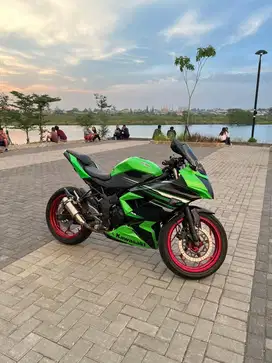 Ninja 250 sl mono