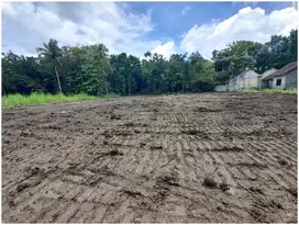 Belakang Kampus UMY Tanah di Bangunjiwo Bantul