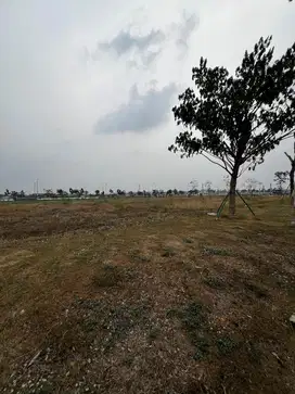 Dijual Kavling Komersial Wallstreet di PIK 2 Jakarta Utara
