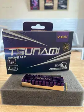 eady SSD V-Gen Tsunami 1TB M2 NVME Plus Heatsink Gen 4